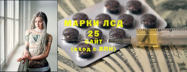 стаф Алексин