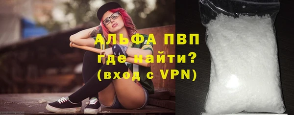 стаф Алексин
